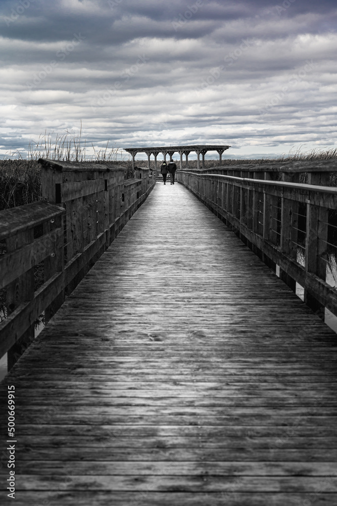 Beautiful view of of the marsh and boardwalk in Point Pelee