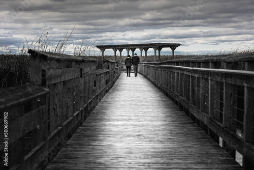 Beautiful view of of the marsh and boardwalk in Point Pelee
