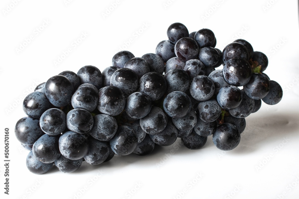 large bunch of dark grapes fruit isolated on white background large bunch of dark grapes fruit isolated on white background