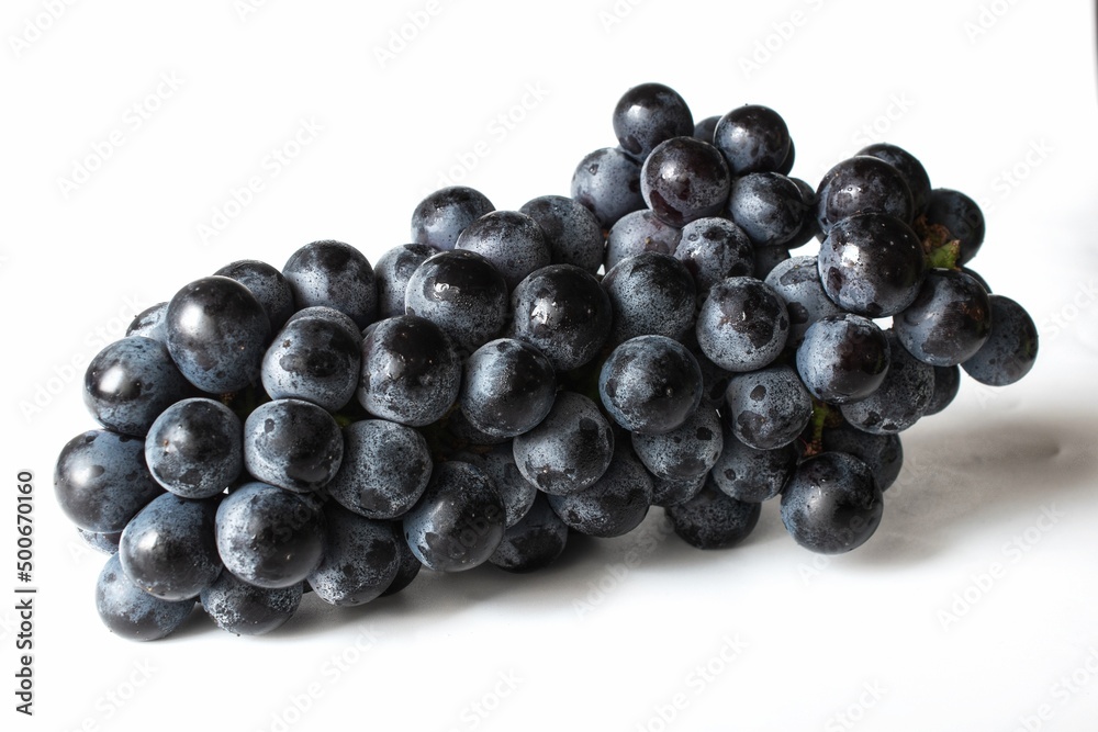 large bunch of dark grapes fruit isolated on white background