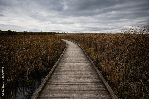 Beautiful view of of the marsh and boardwalk in Point Pelee photo