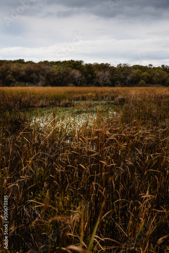 Stunning sky and landscape shot Point Pelee  Ontario  Canada