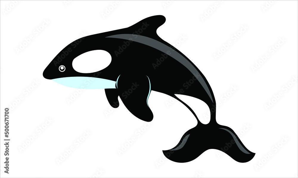 Obraz premium wale illustration vector deasign graphics