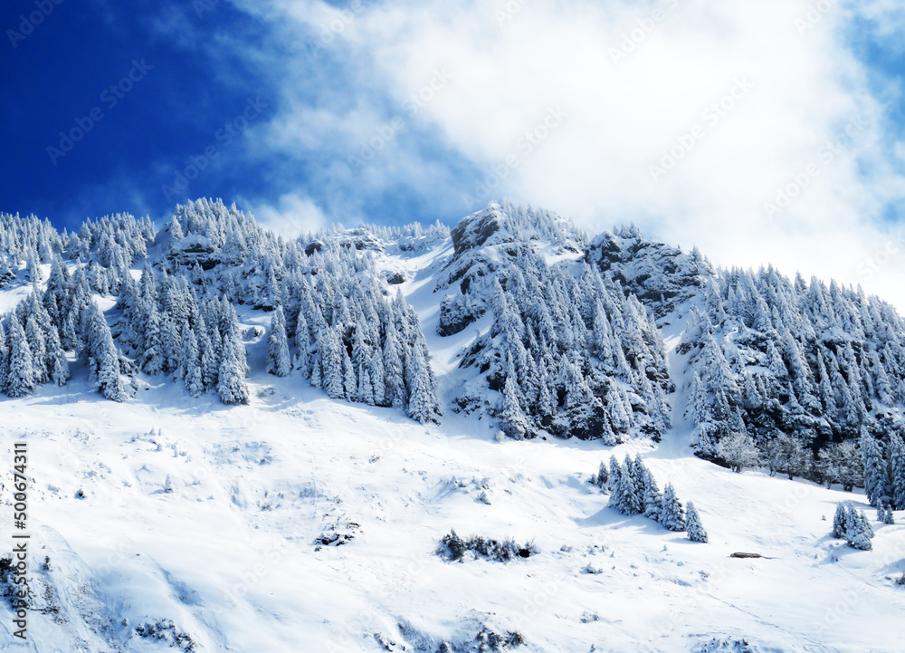 Fairytale alpine winter atmosphere and snow-covered coniferous trees on the mountain peak Neuenalpspitz (1817 m), Nesslau - Obertoggenburg region, Switzerland (Schweiz)
