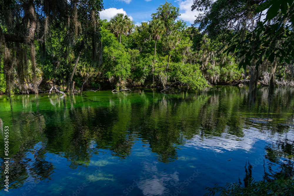 Beautiful water with reflection and florida forest  in Blue Spring State Park. Wintering place manotee. View of the river with warm thermal water, rich natural beauty, rich history 
