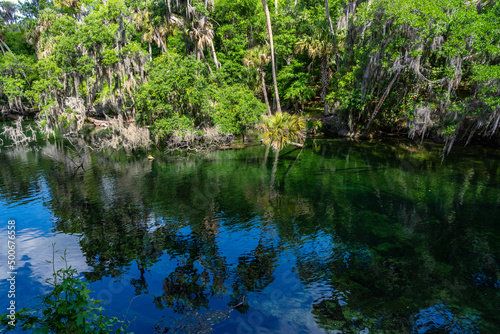 Beautiful water with reflection and florida forest  in Blue Spring State Park. Wintering place manotee. View of the river with warm thermal water, rich natural beauty, rich history  photo