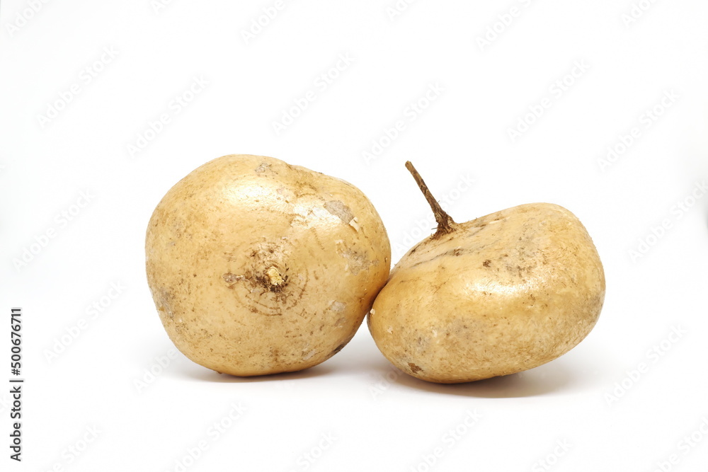 Whole fresh raw jicama, mexican turnip, yam bean, Pachyrhizus erosus or singkamas isolated in white background. Whole fresh raw jicama, mexican turnip, yam bean, Pachyrhizus erosus or singkamas isolated in white background.