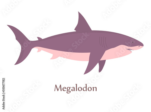 Prehistoric underwater shark megalodon with fins. Predatory sea lizard. Scary jaws with teeth. Wildlife of the Jurassic period. Vector illustration isolated on white background
