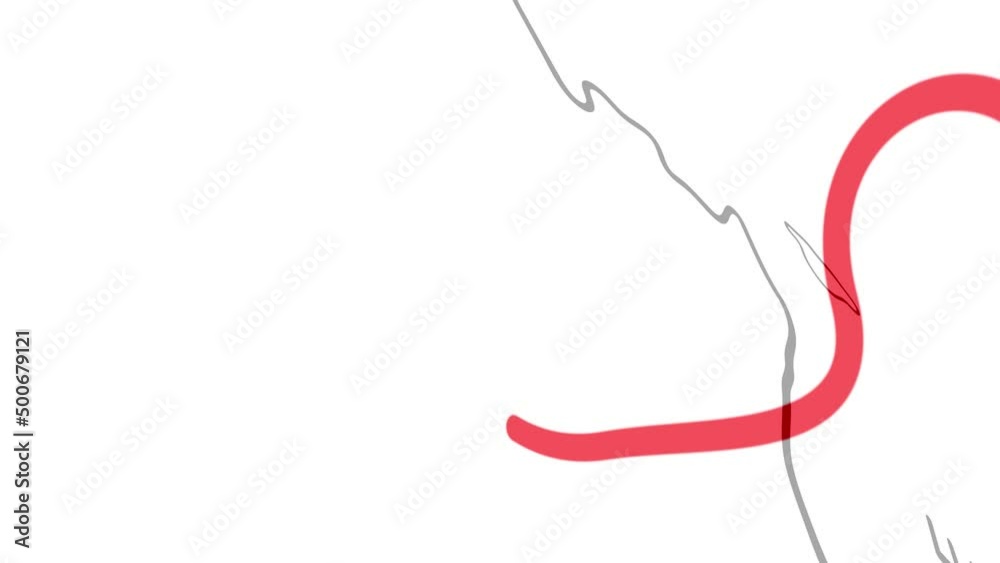 France - Hand-Drawn Map Animation France - Hand-Drawn Map Animation