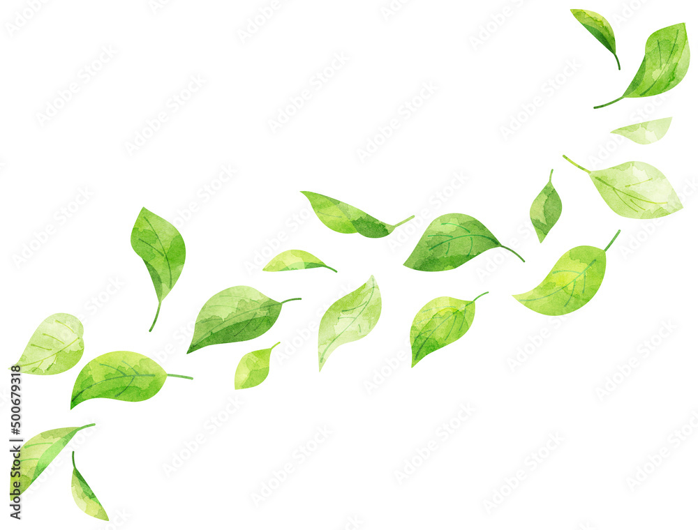 水彩風に加工した風に舞う葉っぱのイラスト Stock Illustration Adobe Stock