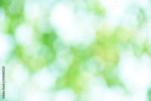 Bokeh abstract in bright green and white tones, blurry. for background