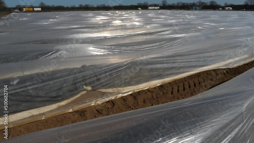 Plastikfolien und Plastikplanen in der Landwirtschaft.
Kultivierung von Spargel im Frühjahr in Deutschland.
Autobahn im Hintergrund. Sonnige Reflexe auf der Folie, windiger Tag.