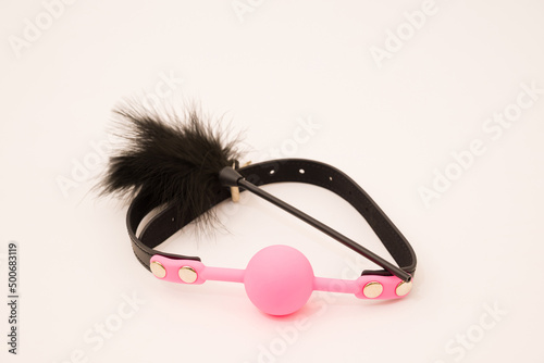 Feathered and ball gag fetish equipment isolated