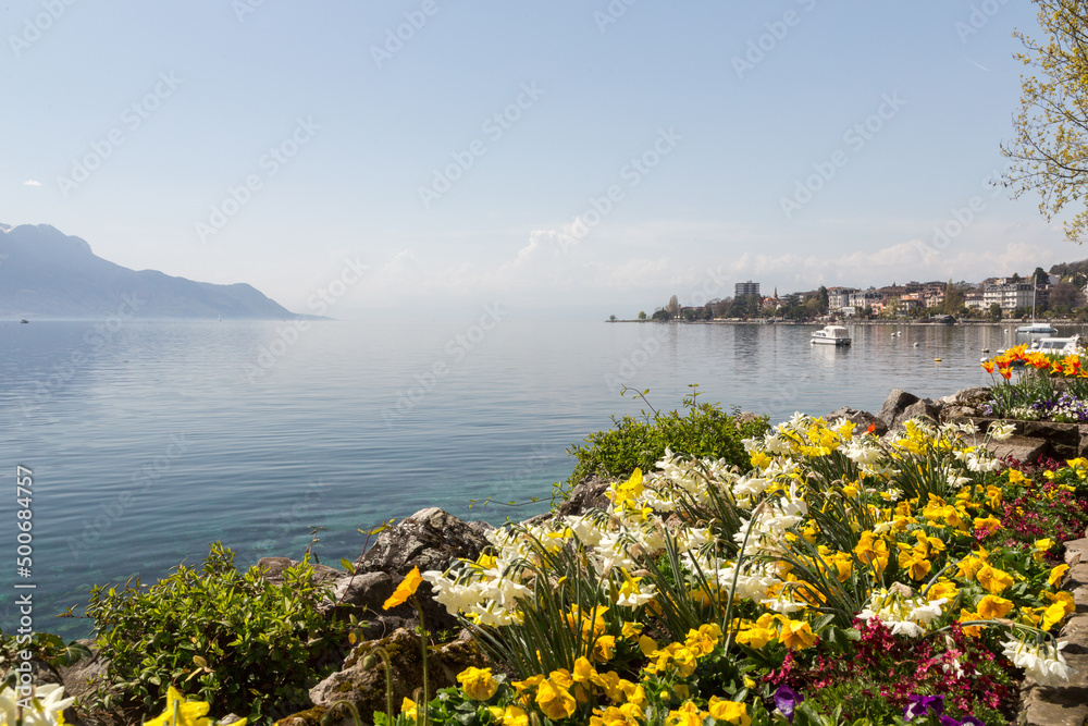 Fleurs au bord du lac Léman à Montreux