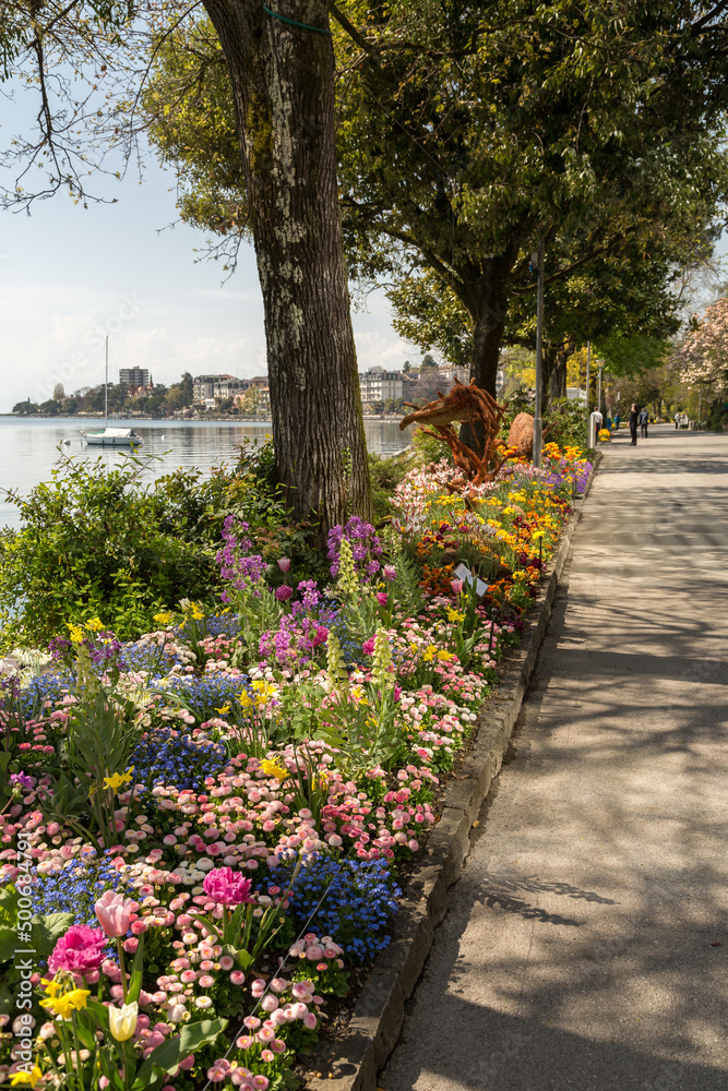 Fleurs au bord de lac à Montreux