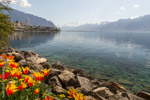 Fotografie, Obraz Bord de lac à Montreux