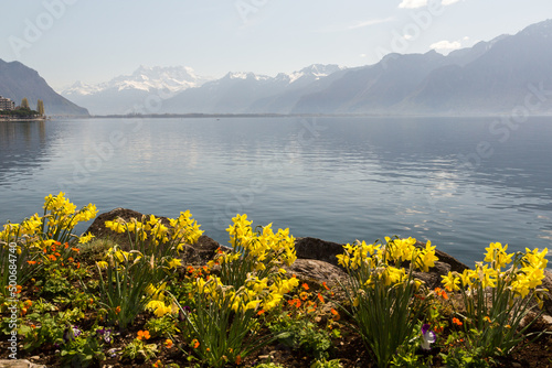 Bord de lac à Montreux
