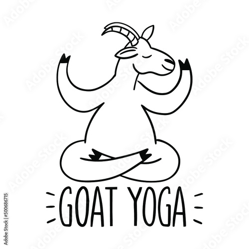Goat yoga outline illustration. Modern fitness. Flat vector illustration of funny animal isolated on white background
