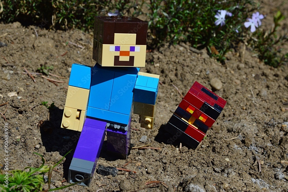 Fototapeta premium LEGO Minecraft large figure of Steve is escapes from dangerous hostile Nether mob Magma Cube on spring sunlit garden soil, green plants and white Hyacinth flowers in background