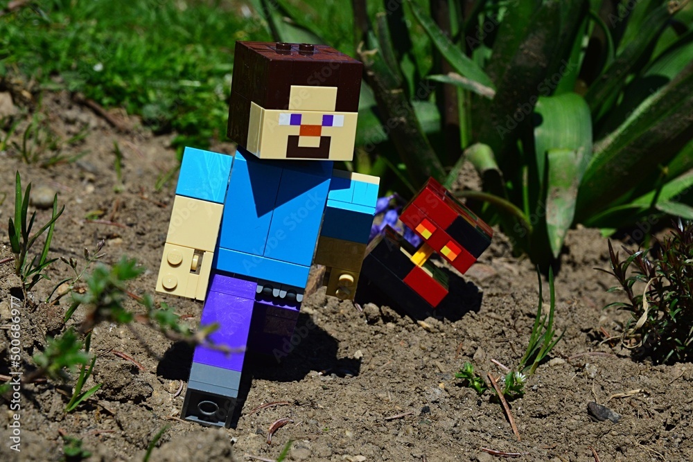Naklejka premium LEGO Minecraft large figure of Steve is escapes from dangerous hostile Nether mob Magma Cube on spring sunlit garden soil, green plants and lawn in backgrond