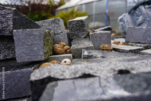 stone cubes and nuts