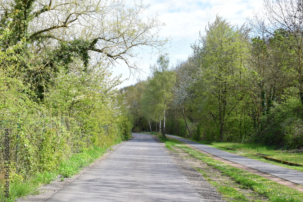 Radweg Mayen - Polch mit einer Straße parallel Radweg Mayen - Polch mit einer Straße parallel