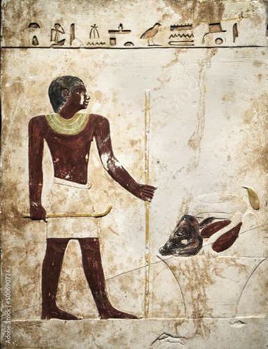An ancient Egyptian drawing of a priest and a bull's head. An ancient ritual. High quality photo
