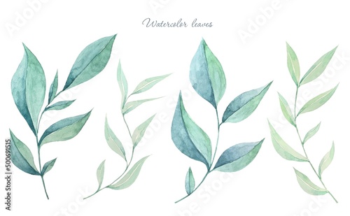 Set of green leaves . Watercolor illustration