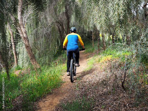 Cyclist on a single track in the Israeli forest