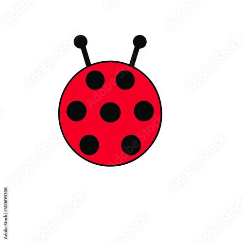 ladybug on white background