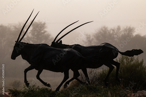 Oryx statue in heavy mist