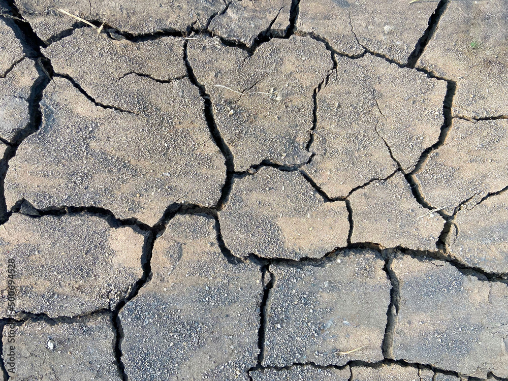 Obraz premium dry earth