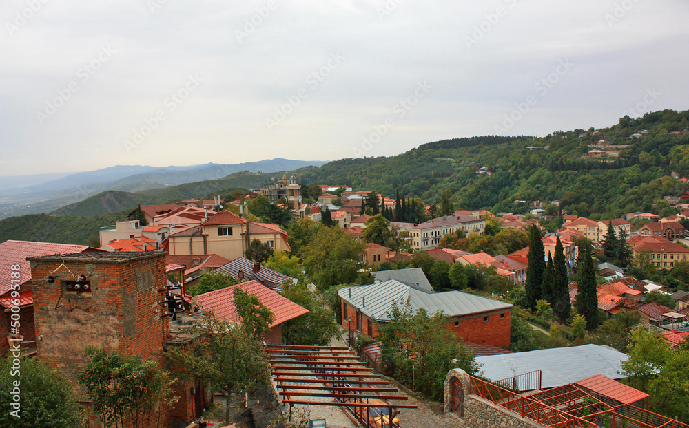 Panorama of the city of Signagi in Kakheti, Georgia	
