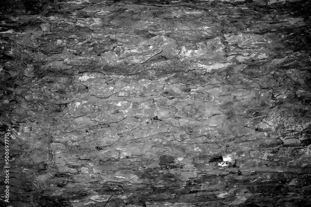 black and white background black and white background