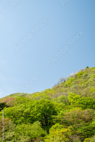 新緑イメージ（龍王峡、栃木県日光市）