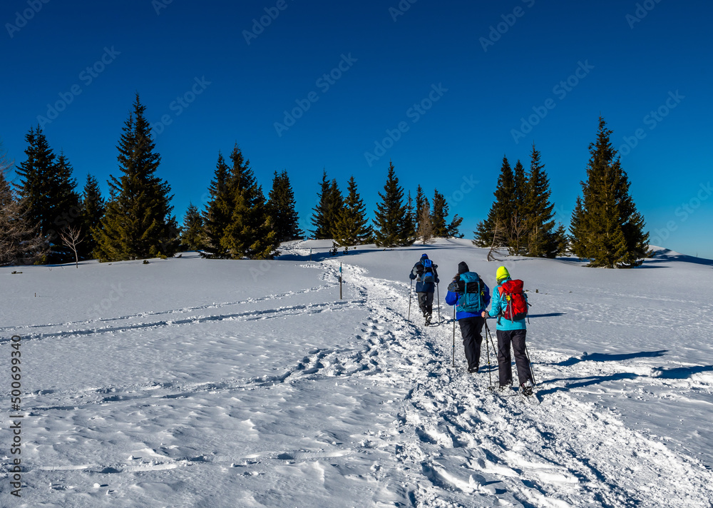 Group Of Sporty Hikers With Snowshoes On A Trail Through Winter Landscape On Mountain Rax In The European Alps In Austria