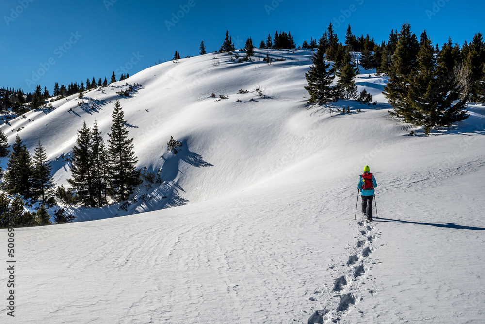 Sporty Hiking Woman With Snowshoes On A Trail Through Winter Landscape On Mountain Rax In The European Alps In Austria