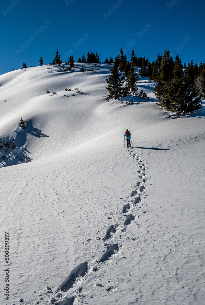 Sporty Hiking Woman With Snowshoes On A Trail Through Winter Landscape On Mountain Rax In The European Alps In Austria