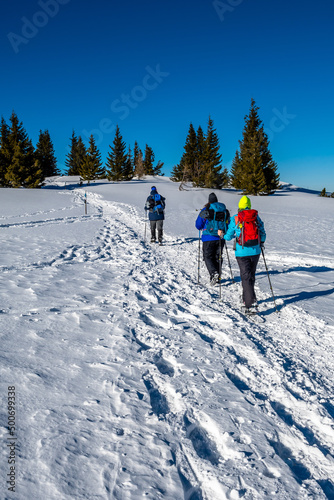 Group Of Sporty Hikers With Snowshoes On A Trail Through Winter Landscape On Mountain Rax In The European Alps In Austria