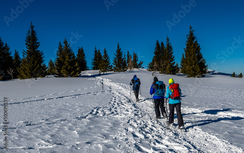 Group Of Sporty Hikers With Snowshoes On A Trail Through Winter Landscape On Mountain Rax In The European Alps In Austria