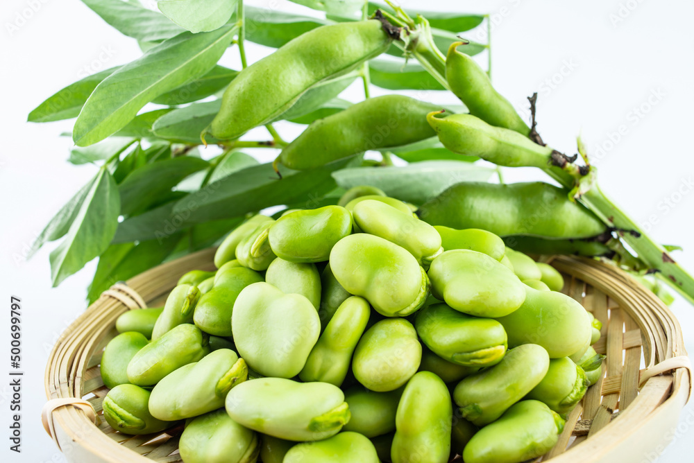 A plate of shelled fresh broad beans A plate of shelled fresh broad beans