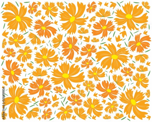 Symbol of Love, Illustration Background of Bright and Beautiful Orange Cosmos Flowers or Cosmos Bipinnatus Isolated on White Background. 