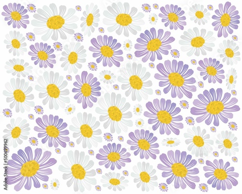 Symbol of Love, Background of Purple and White Daisy or Gerbera Flowers in A Green Garden for Home and Building Decoration.
