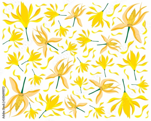 Beautiful Flower  Illustration Background of Yellow Champaka or Magnolia Champaca Flowers with Green Leaves on Tree Branch. 