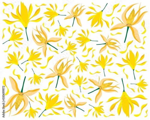 Beautiful Flower, Illustration Background of Yellow Champaka or Magnolia Champaca Flowers with Green Leaves on Tree Branch.
