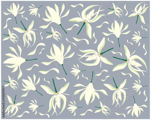 Beautiful Flower, Illustration Background of White Michelia Alba or White Champaca Flowers with Green Leaves.
