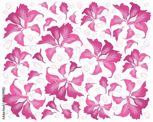 Beautiful Flower, Illustration Background of Pink Bauhinia Purpurea or Pink Orchid Tree with Green Leaves.
