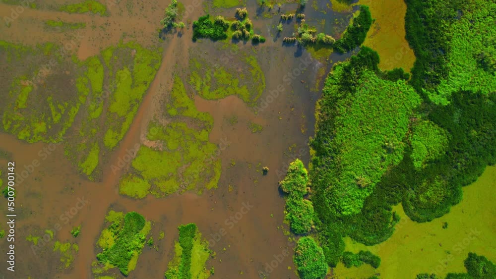 Aerial view from a drone over green and yellow plants in a large wetland. an abundance of tropical plants in Thale Noi, Phatthalung, Thailand. 4k drone footage
Aerial view from a drone over green and yellow plants in a large wetland. an abundance of tropical plants in Thale Noi, Phatthalung, Thailand. 4k drone footage