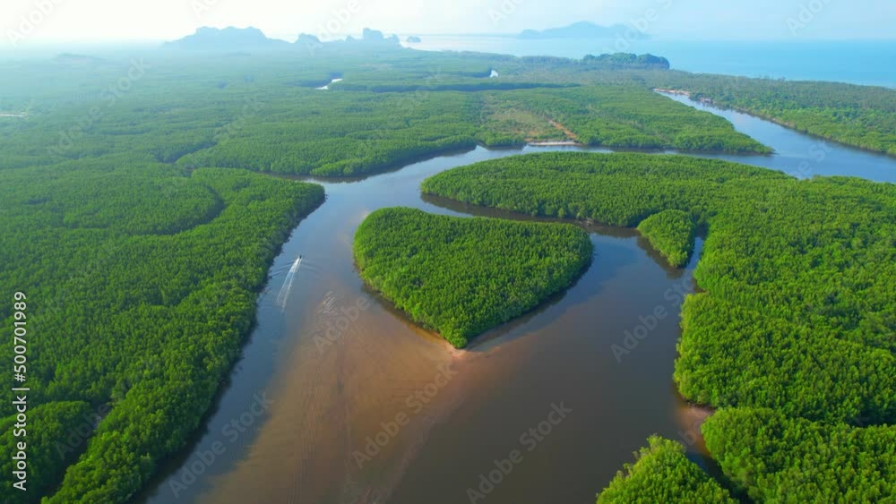 Top view of winding river in tropical mangrove green tree forest in khao jom pa, trang, Thailand. beautiful mangrove forest near the estuary. drone aerial view. 4K
Top view of winding river in tropical mangrove green tree forest in khao jom pa, trang, Thailand. beautiful mangrove forest near the estuary. drone aerial view. 4K