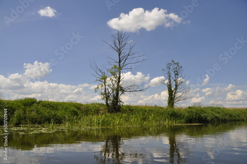 rzeka Liwiec  woda  przyroda  wiosna  wypoczynek 